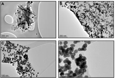 Figure 3 High-resolution transmission electron microscopy images of the formation of nanocomplex structures between the biosensor detection platforms of Au NP-DNA and GO-DNA with the addition of the invA gene target through DNa hybridization.Notes: (A) agg