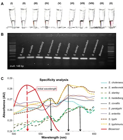 Figure 4 Specificity analysis of the biosensor in elucidating a color change in the detection of various Salmonella enterica sp.Notes: (A) Visual observation of the biosensor color change with the addition of complementary invA gene target from (I) Salmone