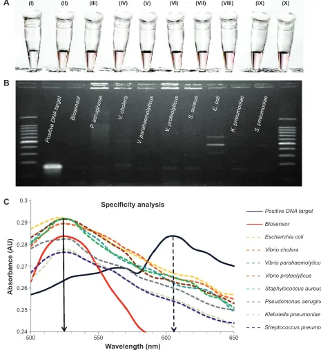 Figure 5 Specificity analysis of the biosensor in elucidating a color change only in the presence of Salmonella enterica sp