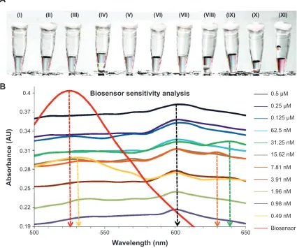 Figure 6 sensitivity analysis of the biosensor in elucidating a color change with the minimal amount of target gene required.Notes: (A) Visual observation of the color changing ability by the biosensor solution with the addition of differing concentrations