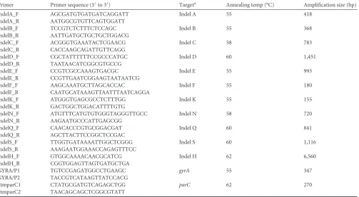 TABLE 1 Conventional PCR primers targeting S. Typhi indels and SNPs
