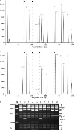 FIG 2 Salmonellalane 9, Typhi MLPA indel typing. (a) Fragment analysis generated by MLPA of S