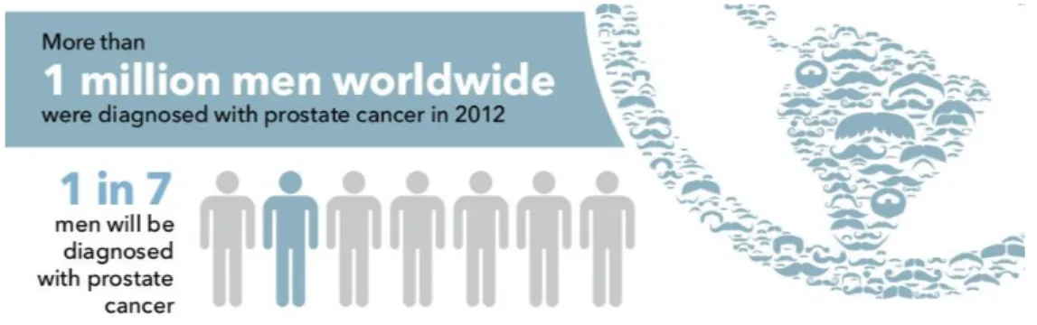 Figure 1.4: Prostate cancer statistics (Cook, 2017).