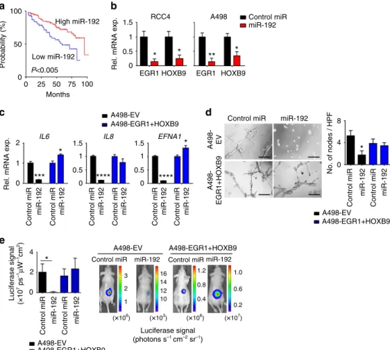 Figure 5 | The anti-angiogenic and antitumour effects of miR-192 in renal tumours. (a) Kaplan–Meier plot for OS based on tumoral miR-192 expression for patients with renal tumours in TCGA KIRC data set (n ¼ 413, log-rank test)