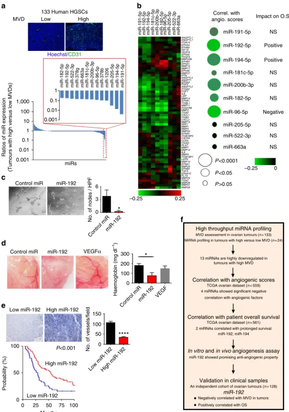 Figure 1 | Integrative analyses identiﬁed miR-192 as a key player in tumour angiogenesis