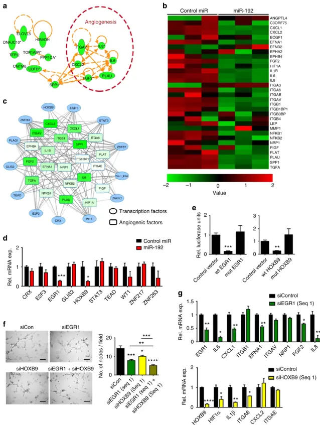 Figure 2 | The anti-angiogenic effect of miR-192. (a) Top 15 molecules downregulated by miR-192