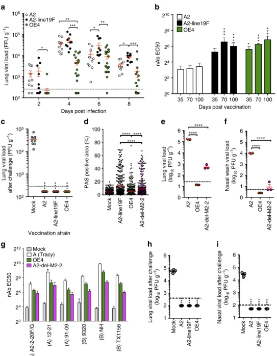 Figure 7 | Attenuation and efﬁcacy of OE4 in mice and cotton rats. (a) Lung viral loads were determined in mice inoculated i.n