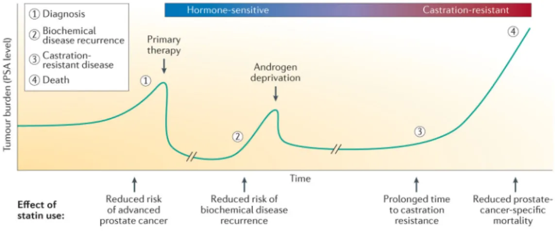 Figure 3. Effects of statin use during the clinical course of prostate cancer