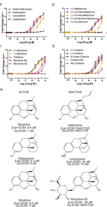 Figure 3. MRGPRX2 is activated by many opioid scaffolds