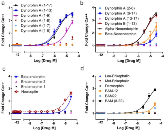 Figure 4. MRGPRX2 is preferentially activated by prodynorphin-derived peptides