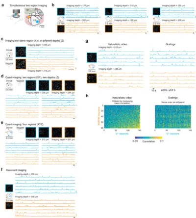 Figure 4. Temporally multiplexed, independently repositionable imaging pathways for  simultaneous scanning two regions
