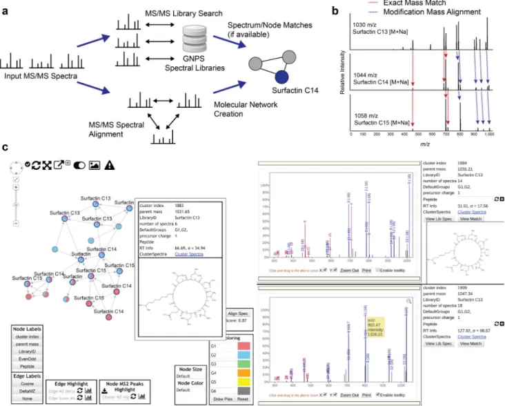 Figure 3. Molecular Network Creation and Visualization