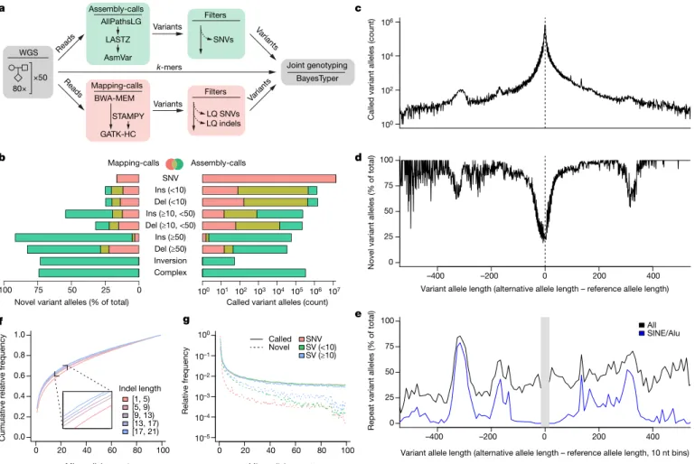 Figure 2 | Variant calling and genotyping. a, Candidate alleles were first  generated using both mapping-based and assembly-based variant calling  pipelines
