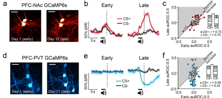 Figure 3. PFC projection neurons show distinct functional plasticity across learning