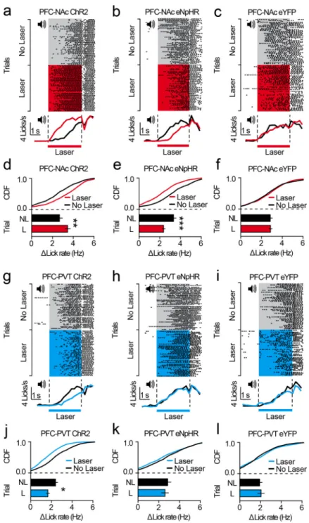 Figure 5. Activity in corticostriatal and corticothalamic neurons controls expression of  conditioned reward seeking