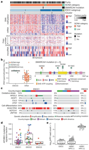 Figure 3. Distinct molecular subtypes of oesophageal squamous cell carcinoma