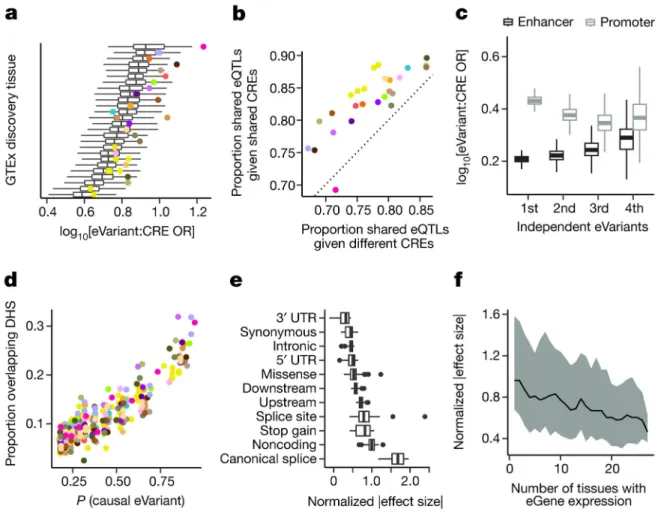 Figure 3. Functional characterization of cis-eQTLs