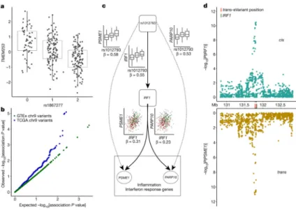 Figure 6. Characterization of complex trait-associated trans-eQTLs