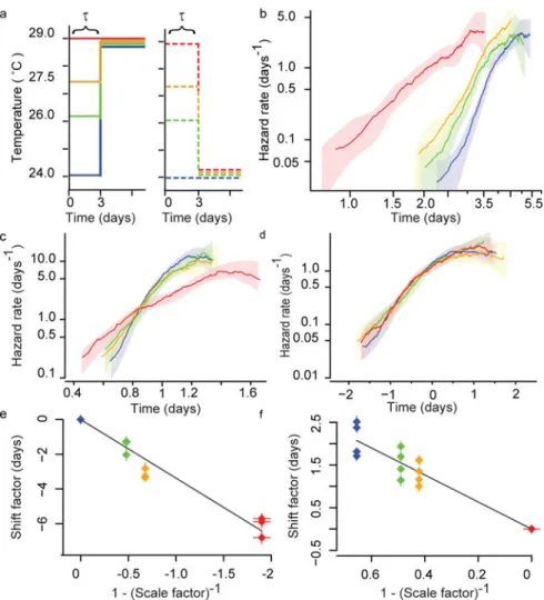 Figure 3. Transient interventions during early adulthood shift the lifespan distribution a, A schematic: populations were placed at 24 °C (blue), 26 °C (green), 27.5 °C (orange),  and 29 °C (red)