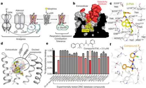 Figure 1. Structure based ligand discovery for the μOR