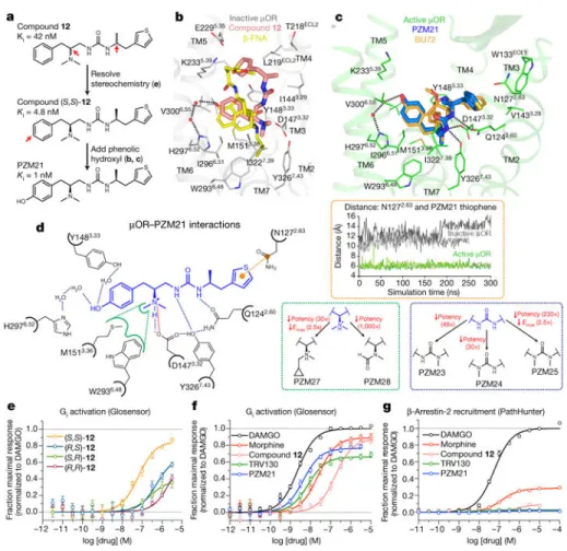 Figure 3. Structure-guided optimization towards a potent biased μOR agonist
