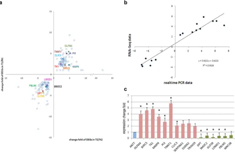Figure 2: PANTHER protein class categories of total DEGs, increased and decreased DEGs in pie chart