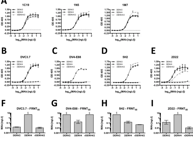 Figure  2.3.  Recognition  and  neutralization  of  rDENV4/2  virus  by  DENV-specific  monoclonal  antibodies