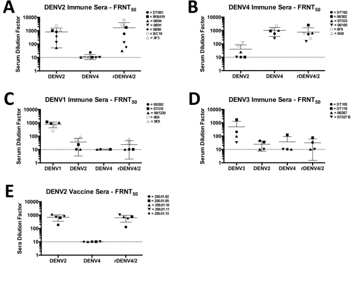 Figure 2.4. rDENV4/2 neutralization by human and macaque DENV immune sera. Vero-81  cell-based  Focus  Reduction  Neutralization  Test  (FRNT)  was  performed  using  (A)  primary  DENV2,  (B)  primary  DENV4,  (C)  primary  DENV1,  (D)  primary  DENV3,  a
