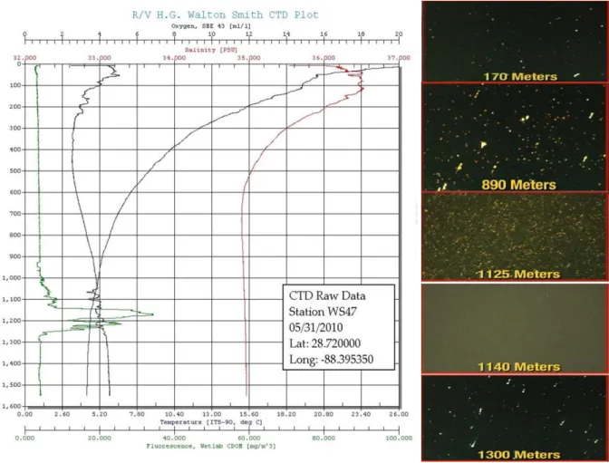 Figure 3.  CTD profile shows a plume at depth 1100 – 1270 m with increased CDOM and 