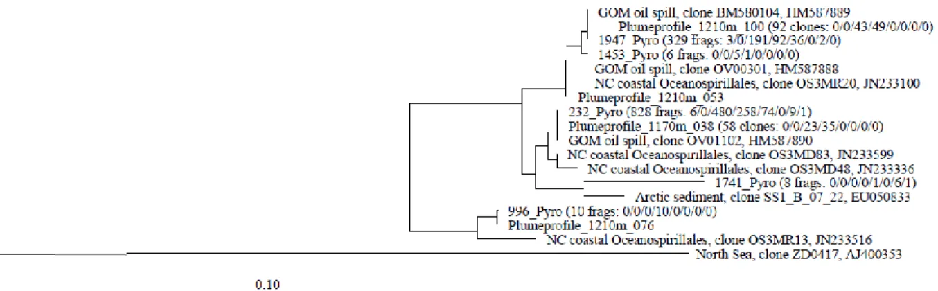 Figure 12. Phylogeny of DWH Oceanospirillales based on 300 bp pyrosequencing fragments  and corresponding sections of 16S rRNA gene clones, showing the phylogenetic fine structure of  this cluster