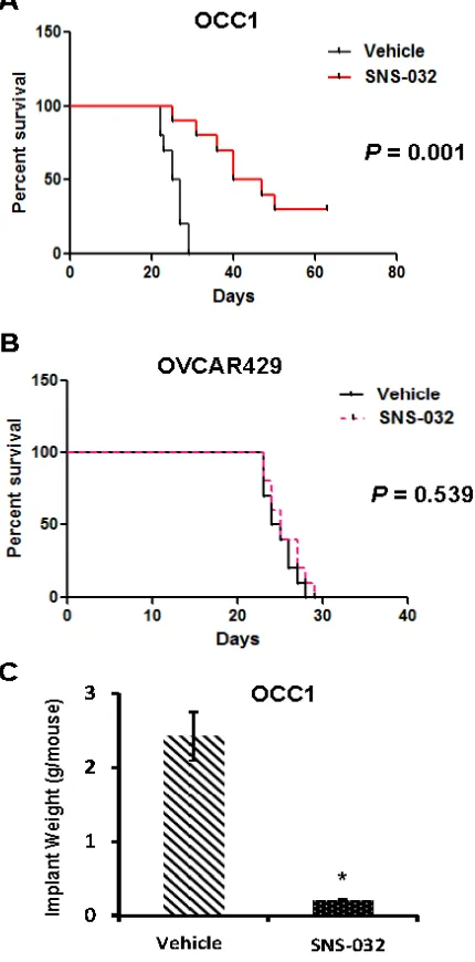 Figure 5: SNS-032 suppresses tumorigenecity of ovarian cancer cells with CCNE1 overexpression