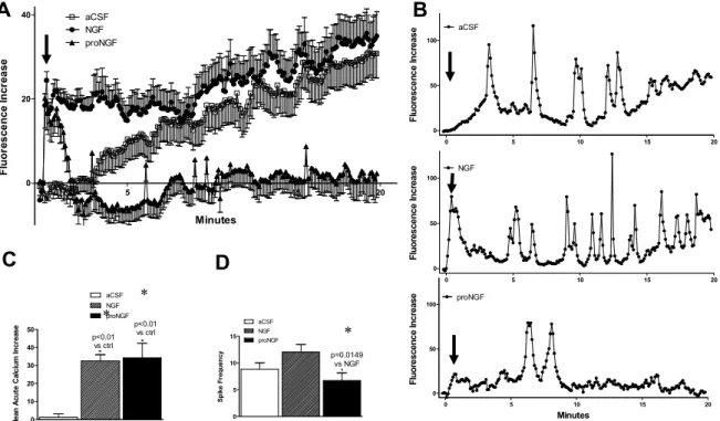 Figure 1.10.  Mature NGF and proNGF have different effects on macrophage calcium  activity