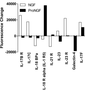 Figure 1.13.  Changes in IL-17 family proteins in macrophage conditioned medium induced  by NGF or proNGF