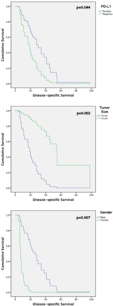 Figure 7: Kaplan-Meier tables obtained from multivariate analysis according to time until death from HNSCC, showing CD274, gender and tumor size effect on disease-specific survival