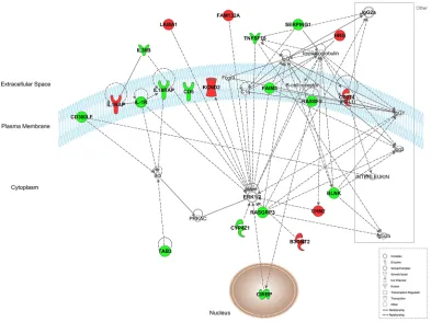 Figure 2: Representation of network 4 (which includes HOXB9). Up- and down-regulated genes in red and green, respectively.