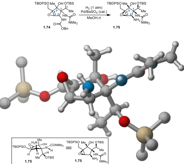 Figure 1-3. Cbz Deprotection and Critical X-ray Diffraction Study 
