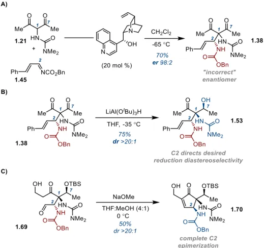 Figure 1-7. A Fortuitous Stereochemical Correction: Conclusions 