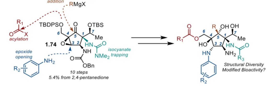 Figure 1-8. Synthetic Plan for Preparation of Pactamycin Structural Congeners 
