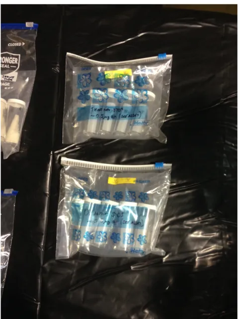 Figure 3.3: Neutron activation standard packaging. Shown are the 232 Th standards (top) and the 238 U standards (bottom).