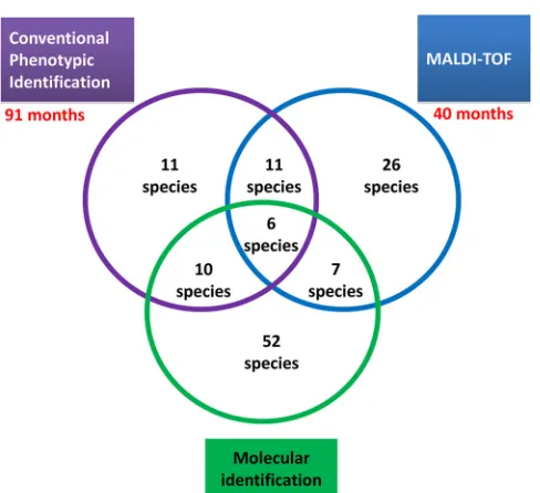 FIG 6 Time course for the numbers of species identiﬁed among 128 rare species, 48 of which were identiﬁed using phenotypic identiﬁcation (PID) and 75 ofwhich were identiﬁed using molecular identiﬁcation (ID).
