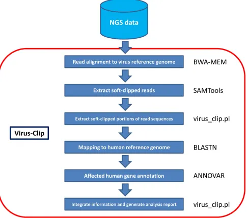 Figure 1: Workflow of Virus-Clip