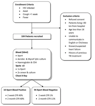 FIG 1 Flow chart of enrollment and exclusion criteria, study procedures, and survival analysis groups by Xpert MTB/RIF blood assay result