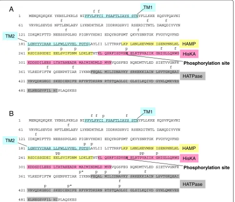 Figure 1 Summary of the analysis presented in Additional file 1: Table S1 and Additional file 2: Table S2.phosphorylation site (shown in bold in the CovS amino acid sequence) of the protein in isolates 5448-APD1, 2, 3, 4, 5, and 10