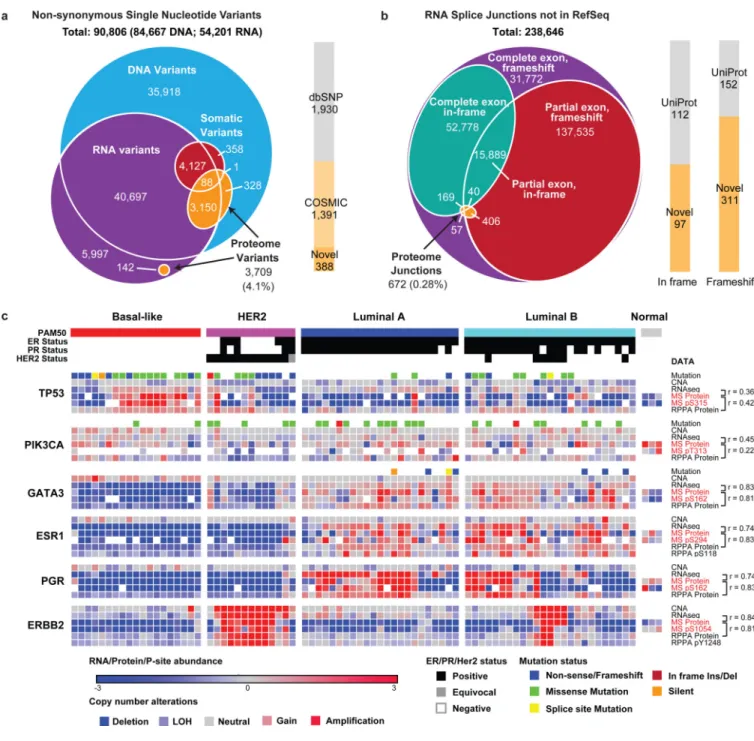 Figure 1. Proteogenomic analysis of human breast cancer. Direct effects of genomic alterations  on protein level