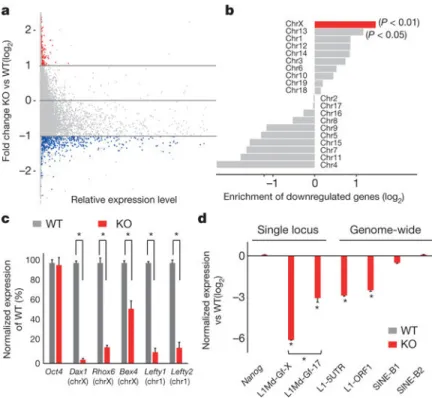 Figure 3. Alkbh1 deficiency silences genes on the X chromosome and young full-length L1  elements