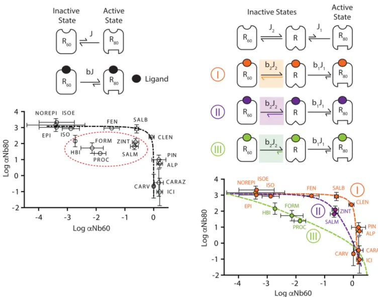 Figure 4. β 2 AR agonists differentially stabilize receptor states to regulate receptor activation Illustration of a two- (a) or three-state (b) model of receptor activation describing the effect  of β 2 AR ligands on receptor conformations stabilized by N
