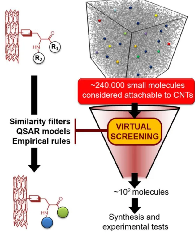 Figure 2. Workflow for virtual screening of 240 000 small molecules attachable to CNTs
