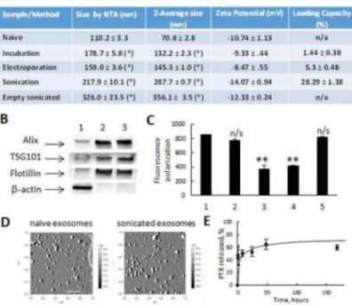 Figure 1. Characterization of PTX exosomal formulations