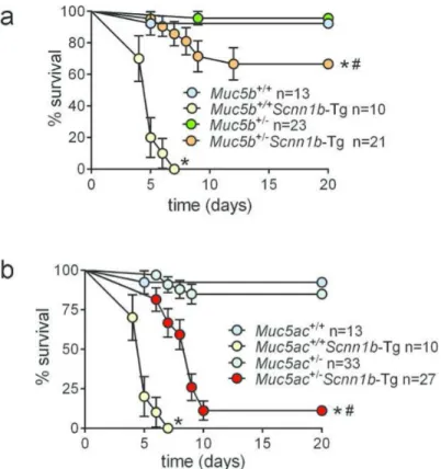 Figure 3. Relative contribution of Muc5ac vs. Muc5b to neonatal survival in a model of lethal  mucus obstruction, the F1 C57:FVB/NJ Scnn1b-Tg mice