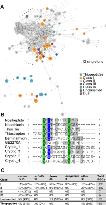 FIG 5 Examples of lanthipeptide and thiopeptide RiPPs. (A) Network map for lanthipeptides and thiopeptides, with the number of BGCs at each node
